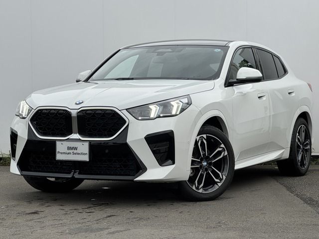 BMW / BMW X2