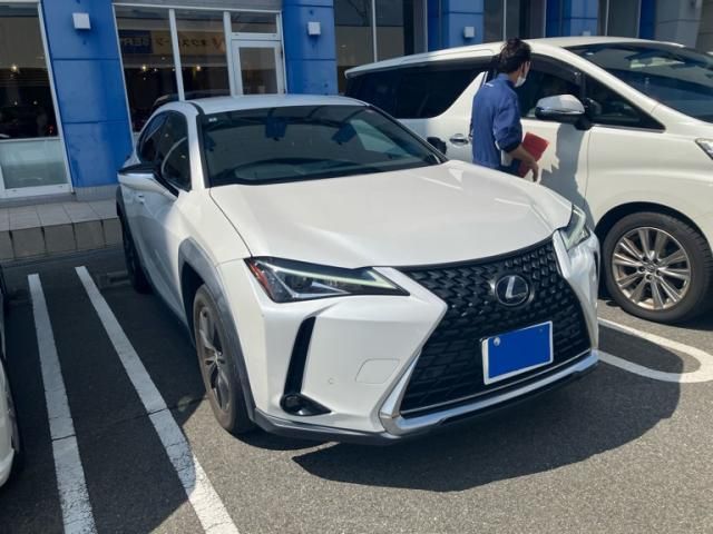 TOYOTA / LEXUS UX250h
