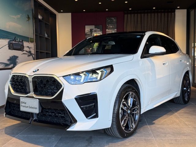 BMW / BMW X2