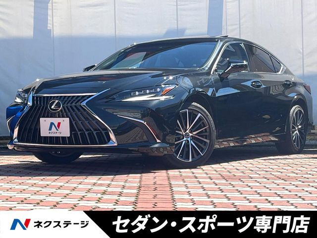 TOYOTA / LEXUS ES300h