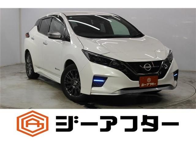 NISSAN / LEAF