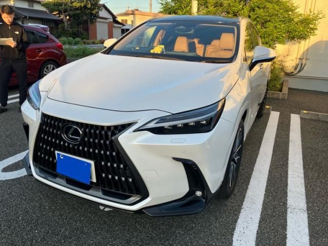 Japanese used car Ref# 1714944 TOYOTA / LEXUS NX250