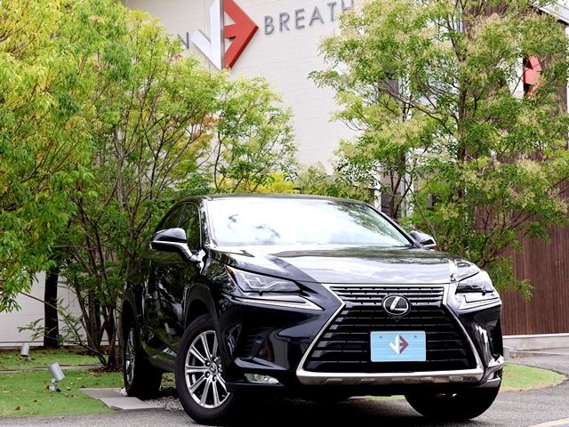 TOYOTA / LEXUS NX300