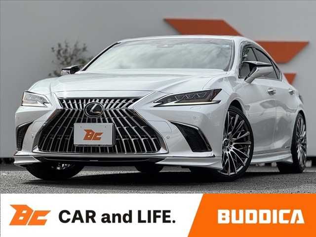 TOYOTA / LEXUS ES300h