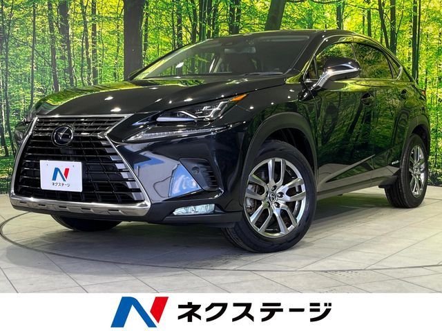 TOYOTA / LEXUS NX300h AWD