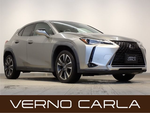 TOYOTA / LEXUS UX200
