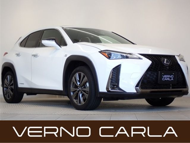 TOYOTA / LEXUS UX250h
