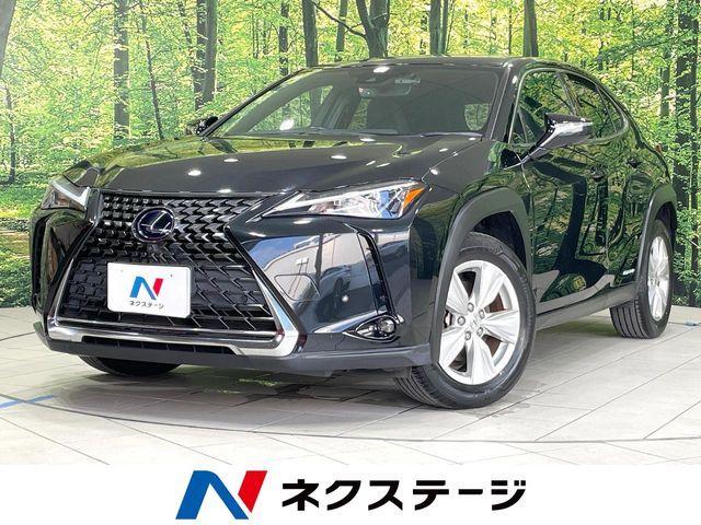 TOYOTA / LEXUS UX250h