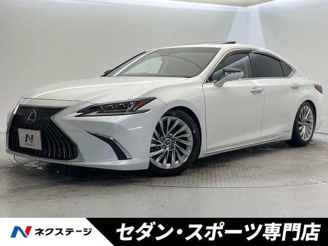 TOYOTA / LEXUS ES300h