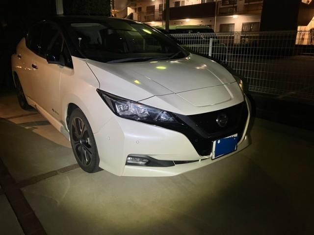 NISSAN / LEAF