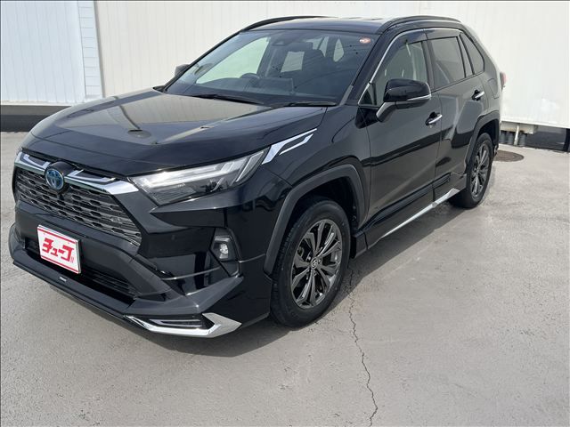 TOYOTA / RAV4 HYBRID 4WD