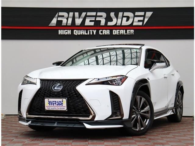 TOYOTA / LEXUS UX250h
