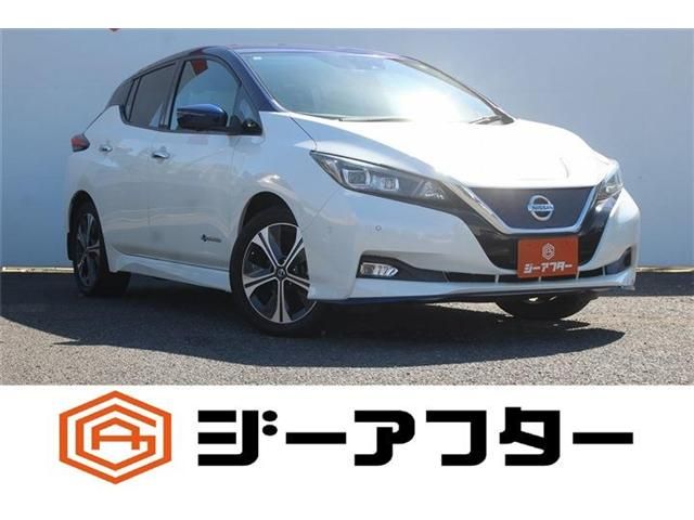 NISSAN / LEAF