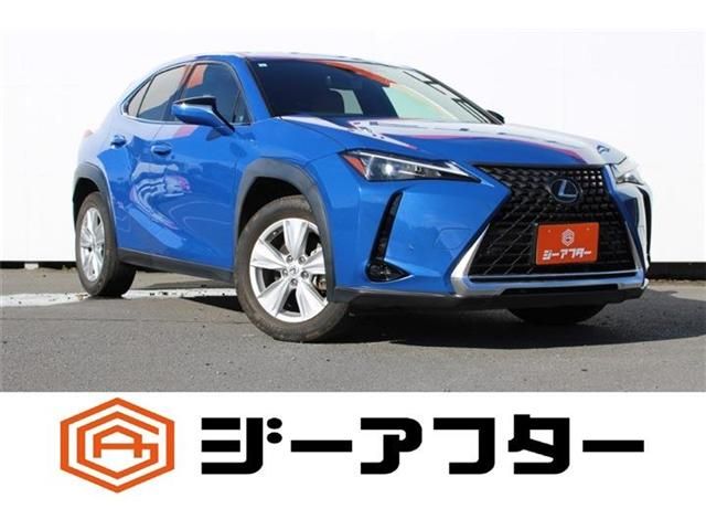 TOYOTA / LEXUS UX250h