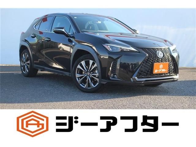 TOYOTA / LEXUS UX250h