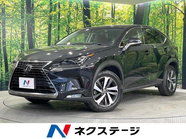 TOYOTA / LEXUS NX300