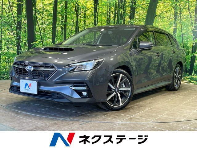 SUBARU / LEVORG