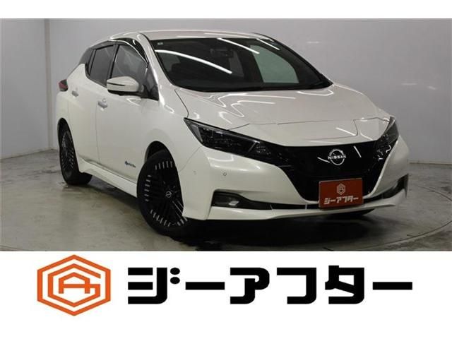 NISSAN / LEAF