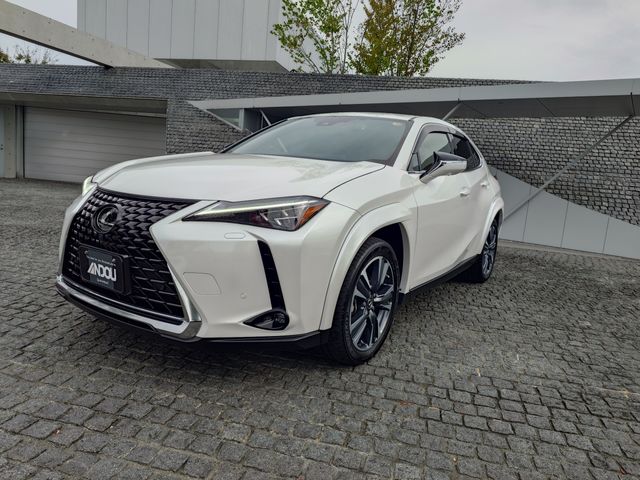 TOYOTA / LEXUS UX250h