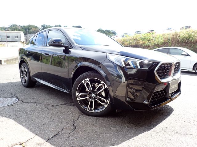 BMW / BMW X2