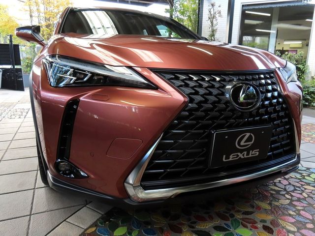 TOYOTA / LEXUS UX300h