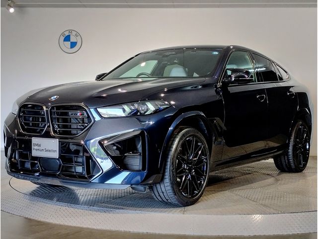 BMW / BMW X6 M