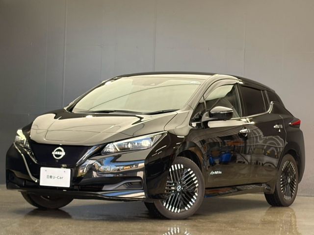 NISSAN / LEAF