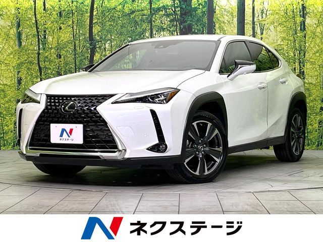 TOYOTA / LEXUS UX250h