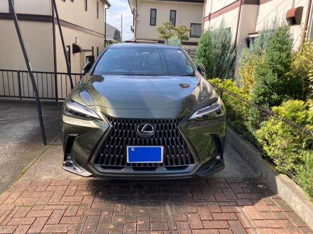 TOYOTA / LEXUS NX250