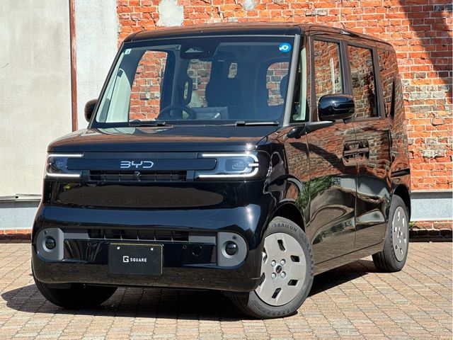 BYD / BYD RACCO