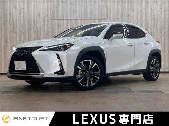 TOYOTA / LEXUS UX250h