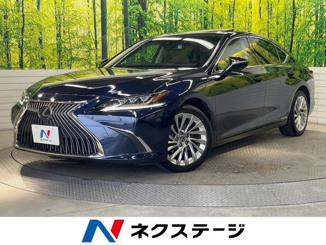 TOYOTA / LEXUS ES300h