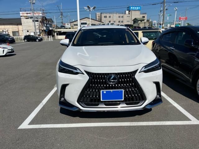 TOYOTA / LEXUS NX250