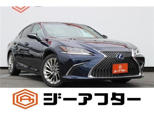 TOYOTA / LEXUS ES300h