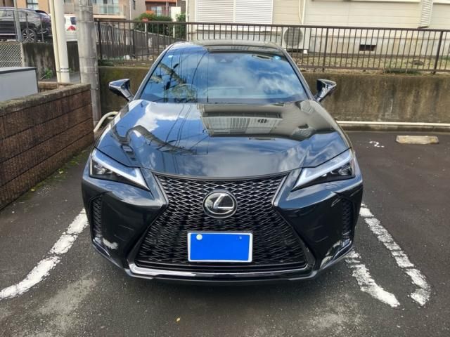 TOYOTA / LEXUS UX250h