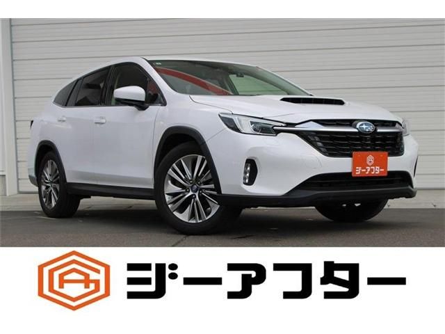 SUBARU / LEVORG LAYBACK