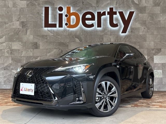 TOYOTA / LEXUS UX300h