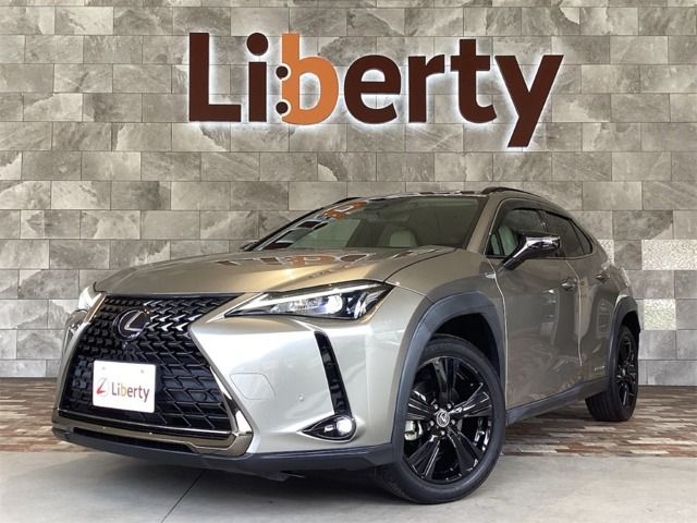 TOYOTA / LEXUS UX250h