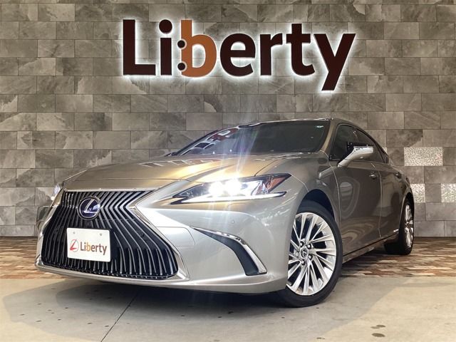 TOYOTA / LEXUS ES300h