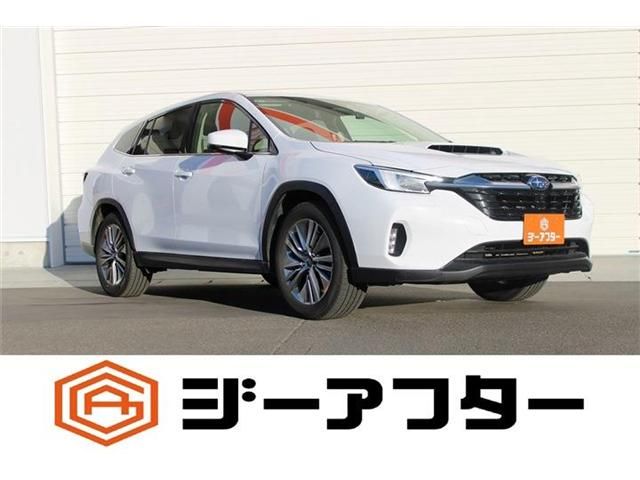 SUBARU / LEVORG LAYBACK