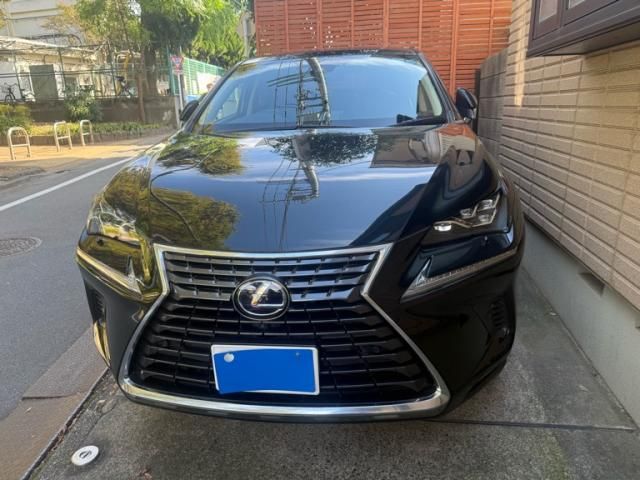 TOYOTA / LEXUS NX300h